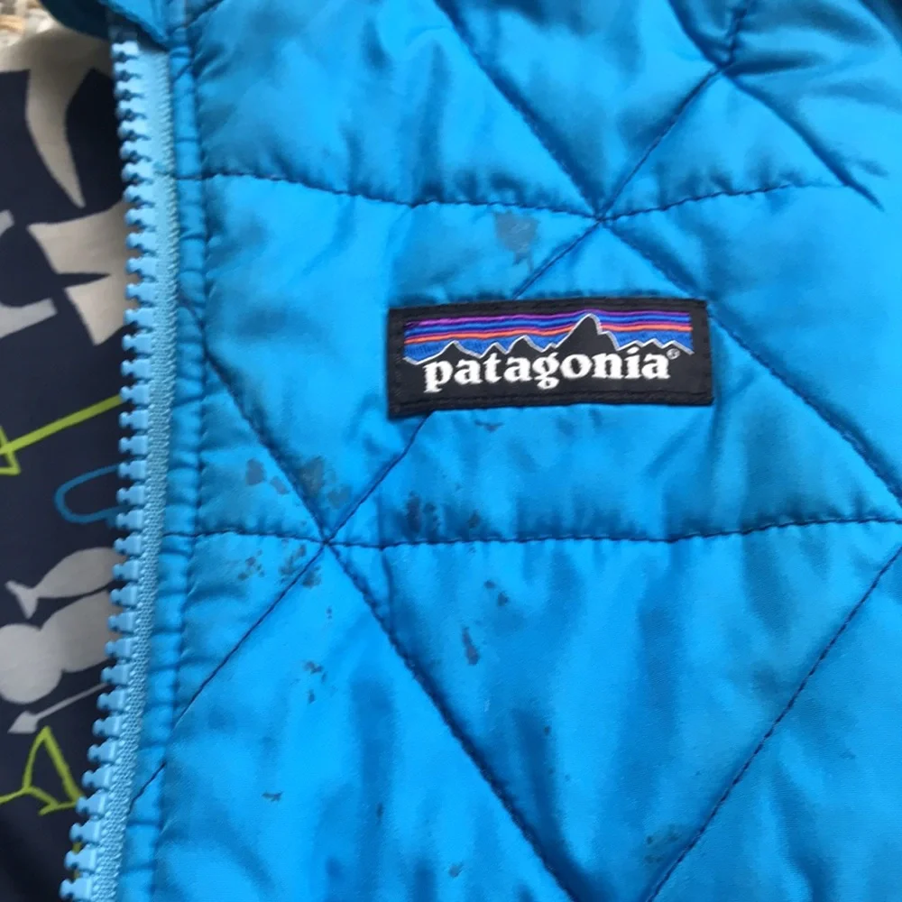 Patagonia Reversible Jacket